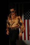 Bye Bye Birdie 41