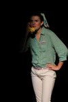 Bye Bye Birdie 45