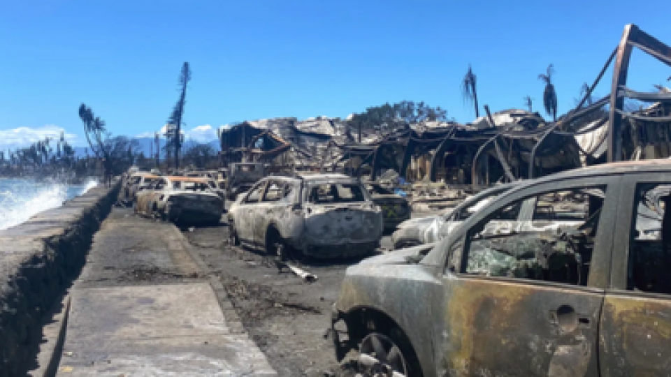 LCMS Maui Disaster Relief