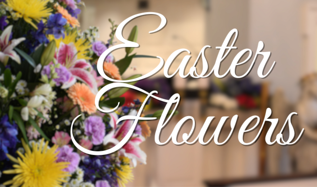 Donate Easter Flowers