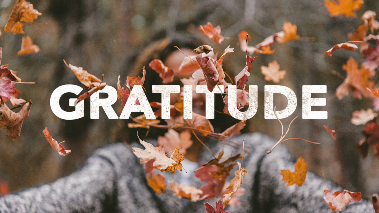 Gratitude