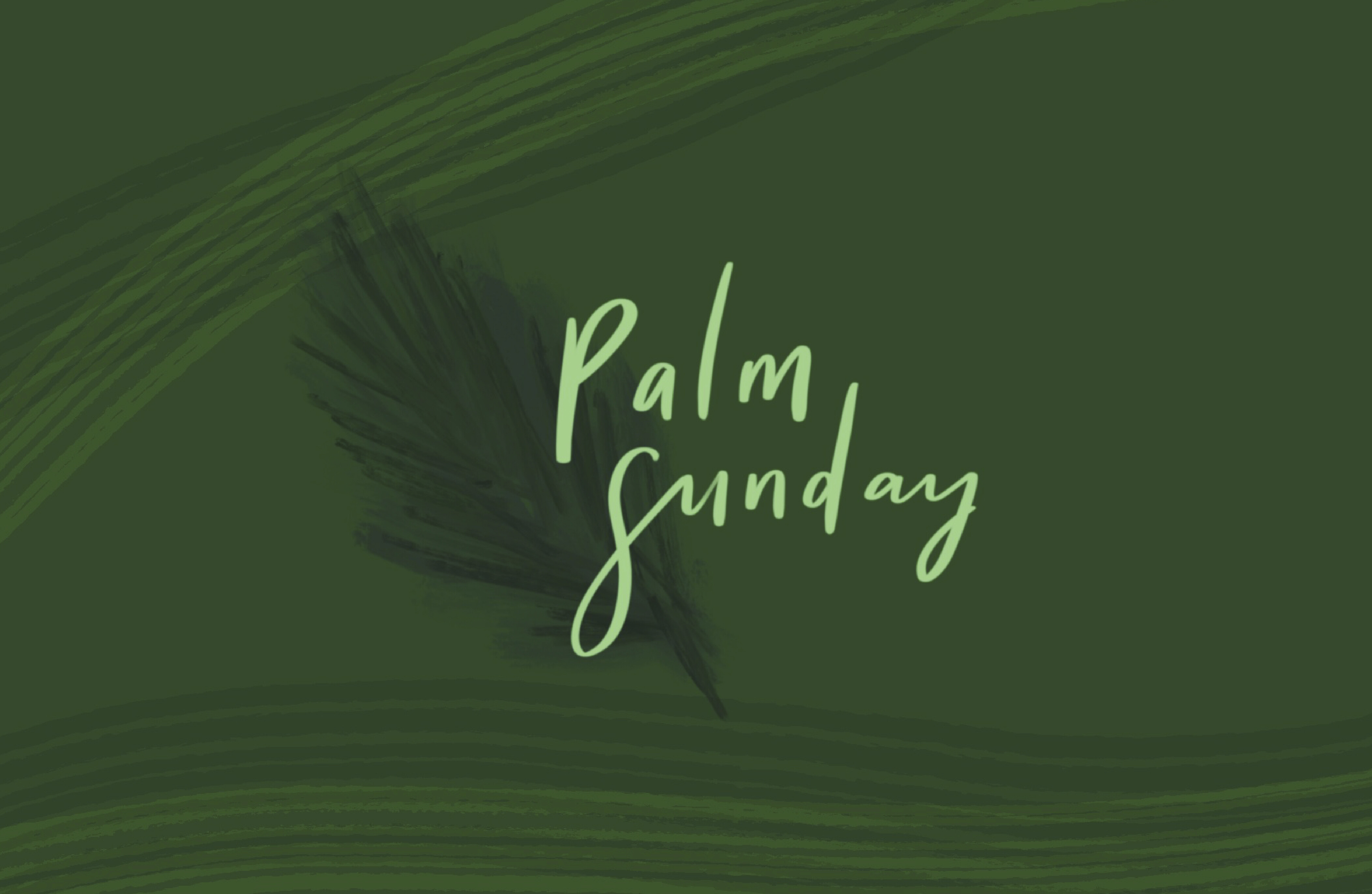 The Cry of the Crowd and the Call of Christ (Audio) episode artwork