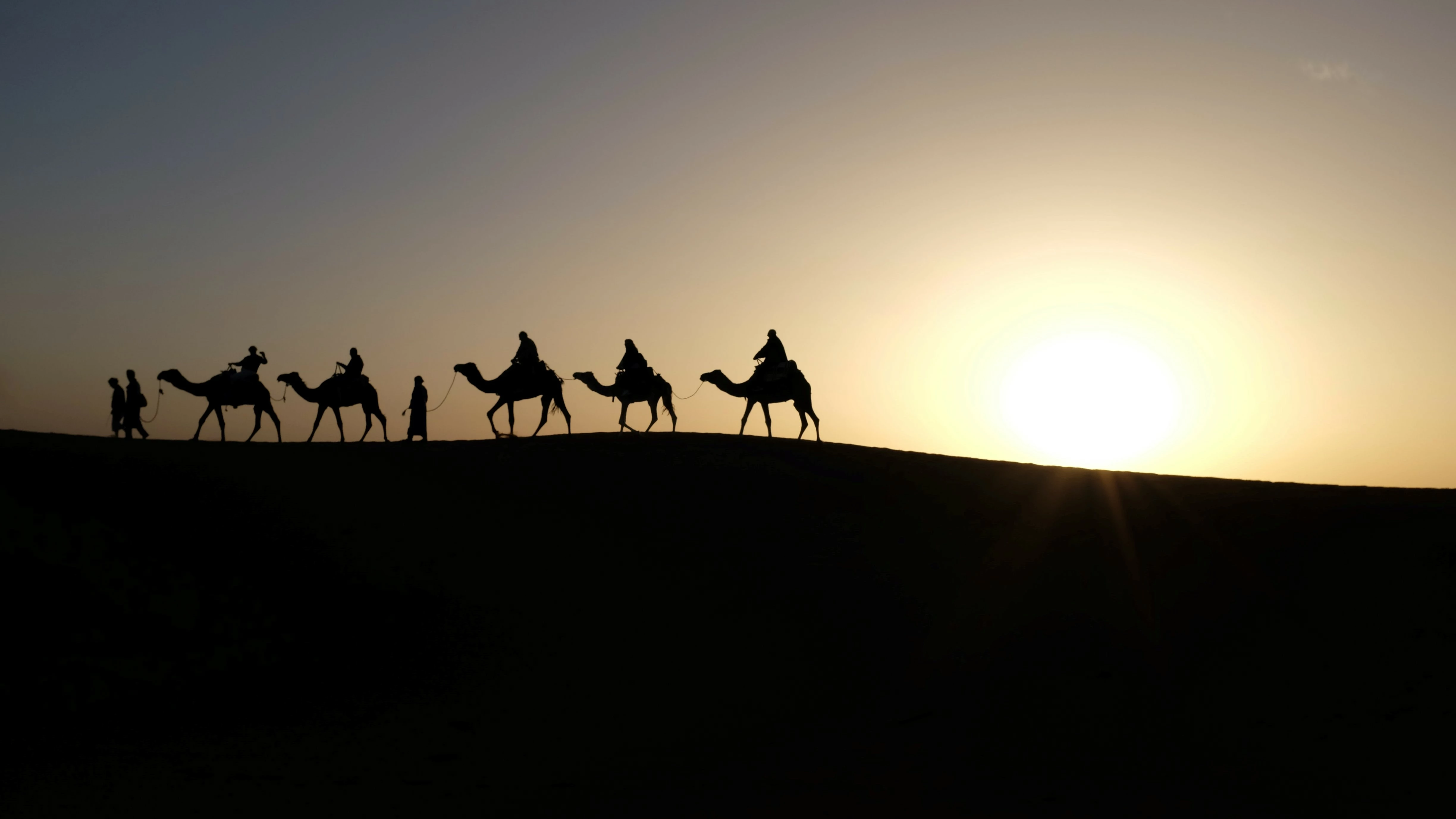Camels, Wise Men, Stars and... Ducks!