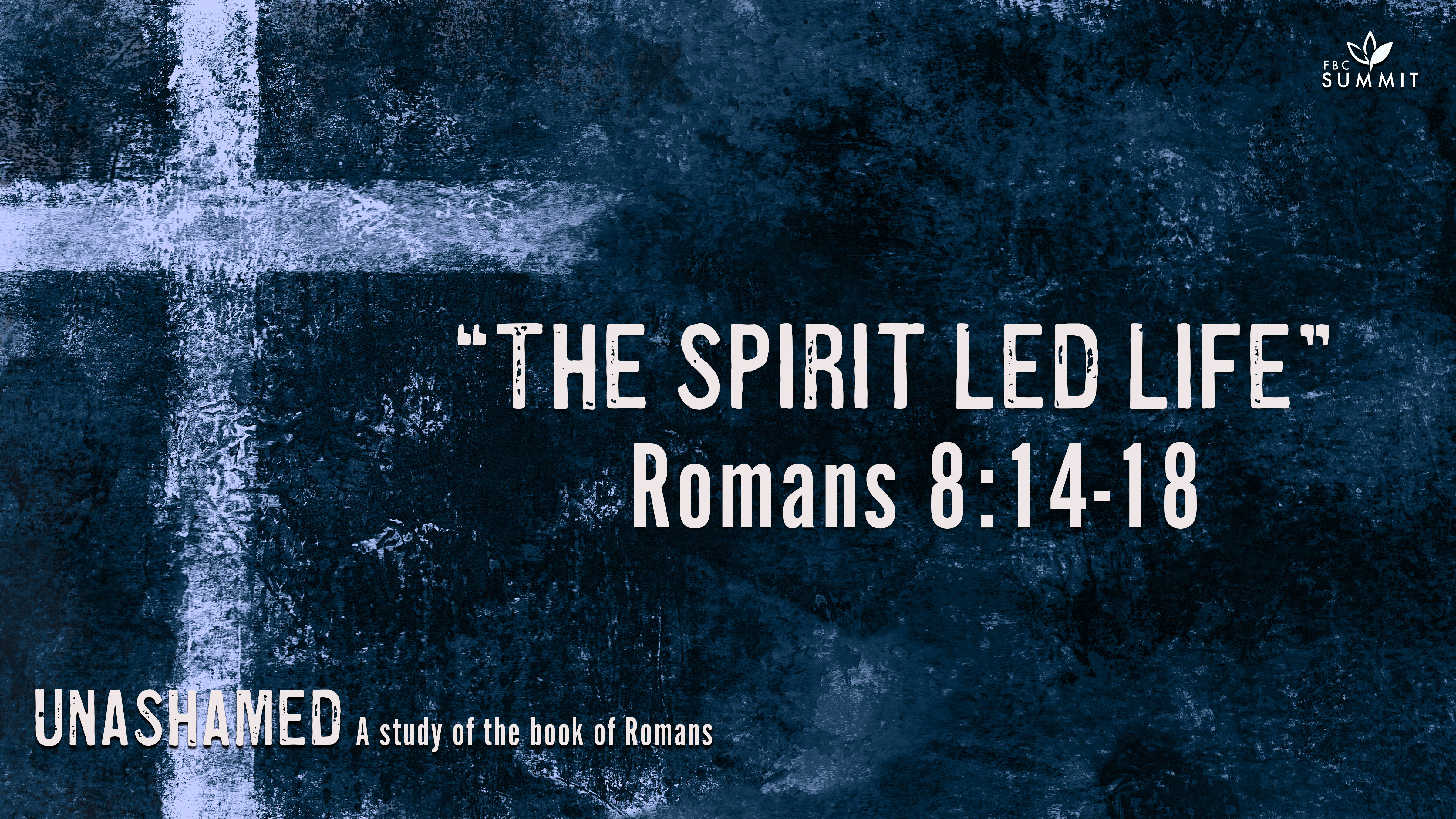 "The Spirit Led Life" Romans 8:14-18