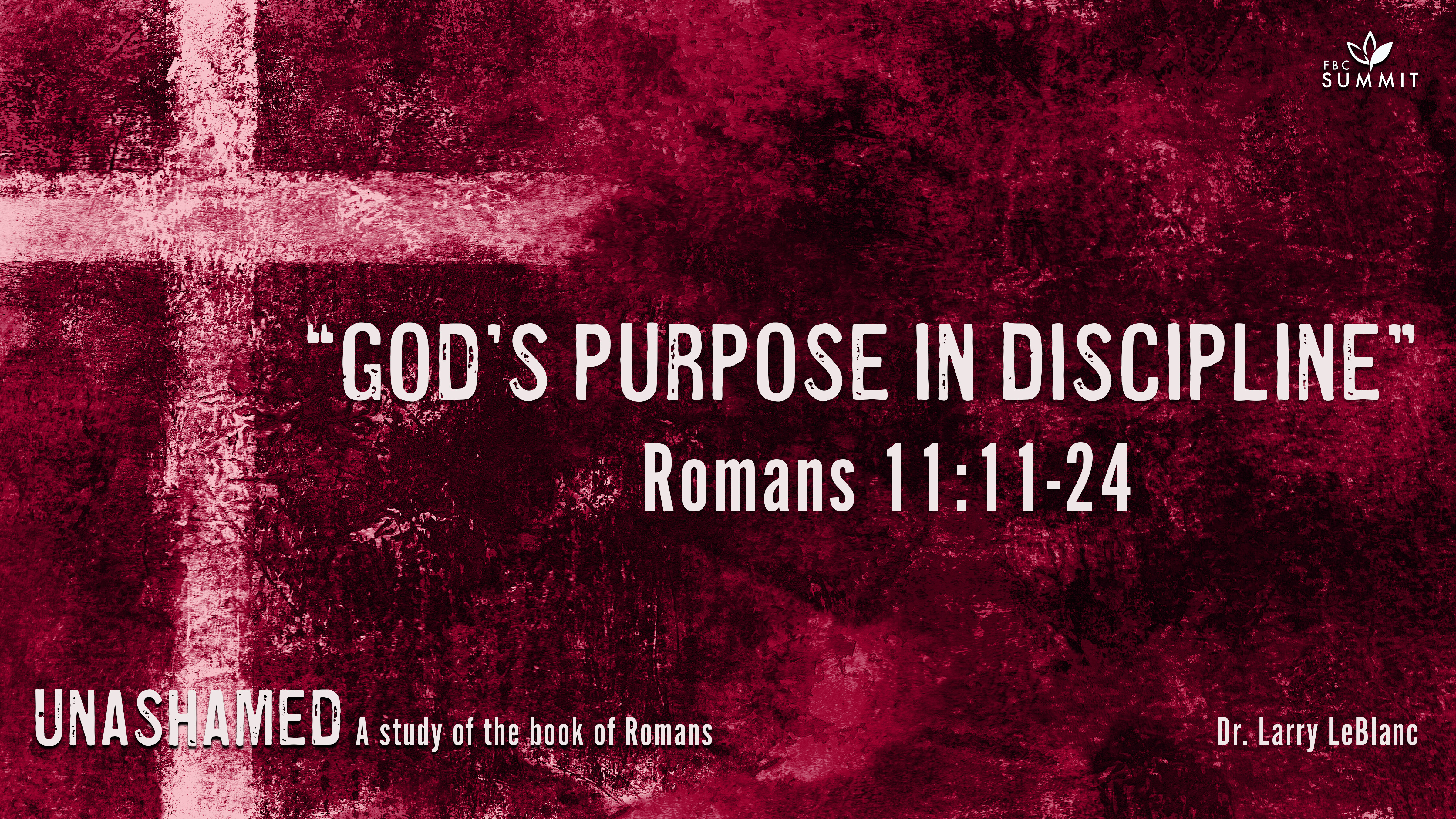 "God's Purpose in Discipline" Romans 11:11-24 // Dr. Larry LeBlanc