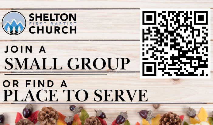 Small Groups & SERVE