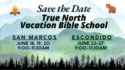 VBS 2025