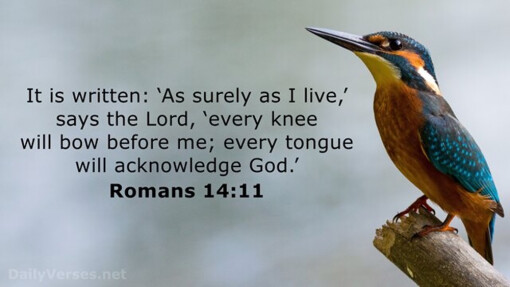 Verse of the Day - November 7