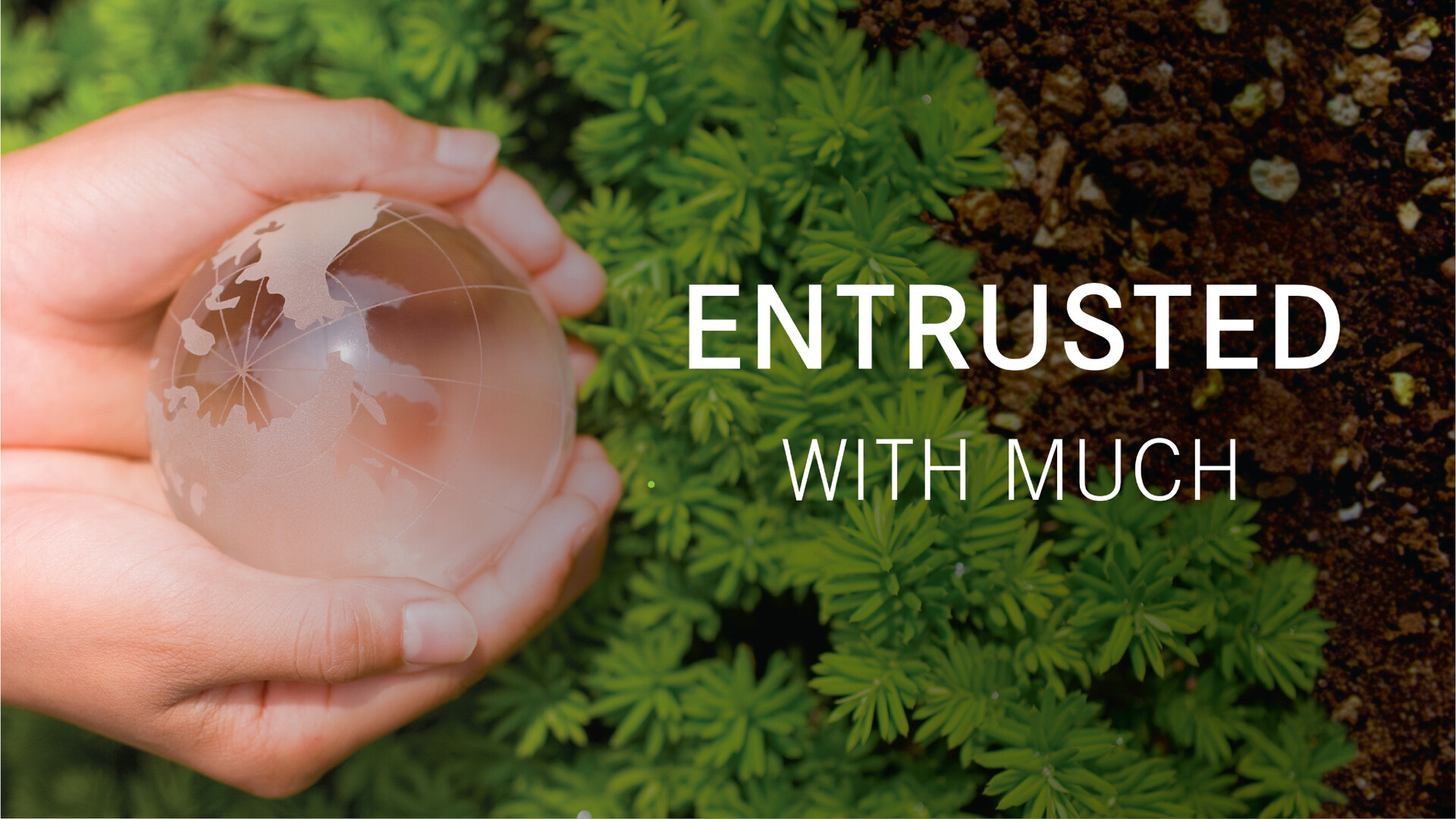Entrusted with Much (Audio) episode artwork