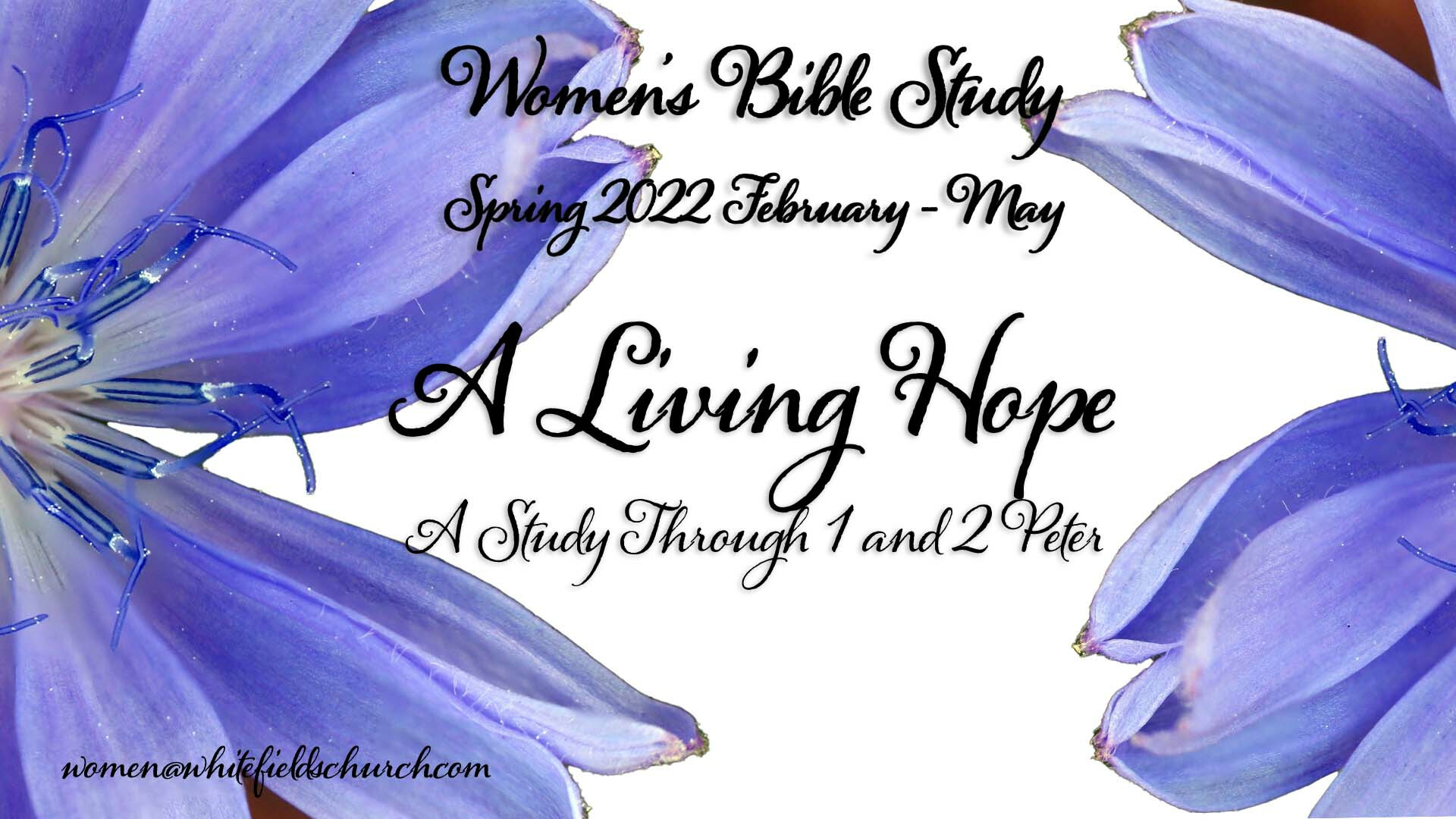 Women's Bible Study: A Living Hope