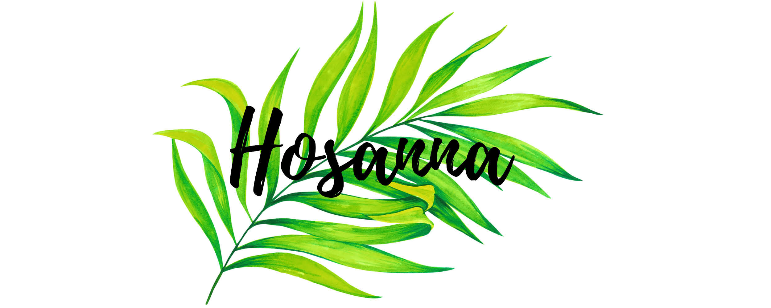Hosanna, Children's Message