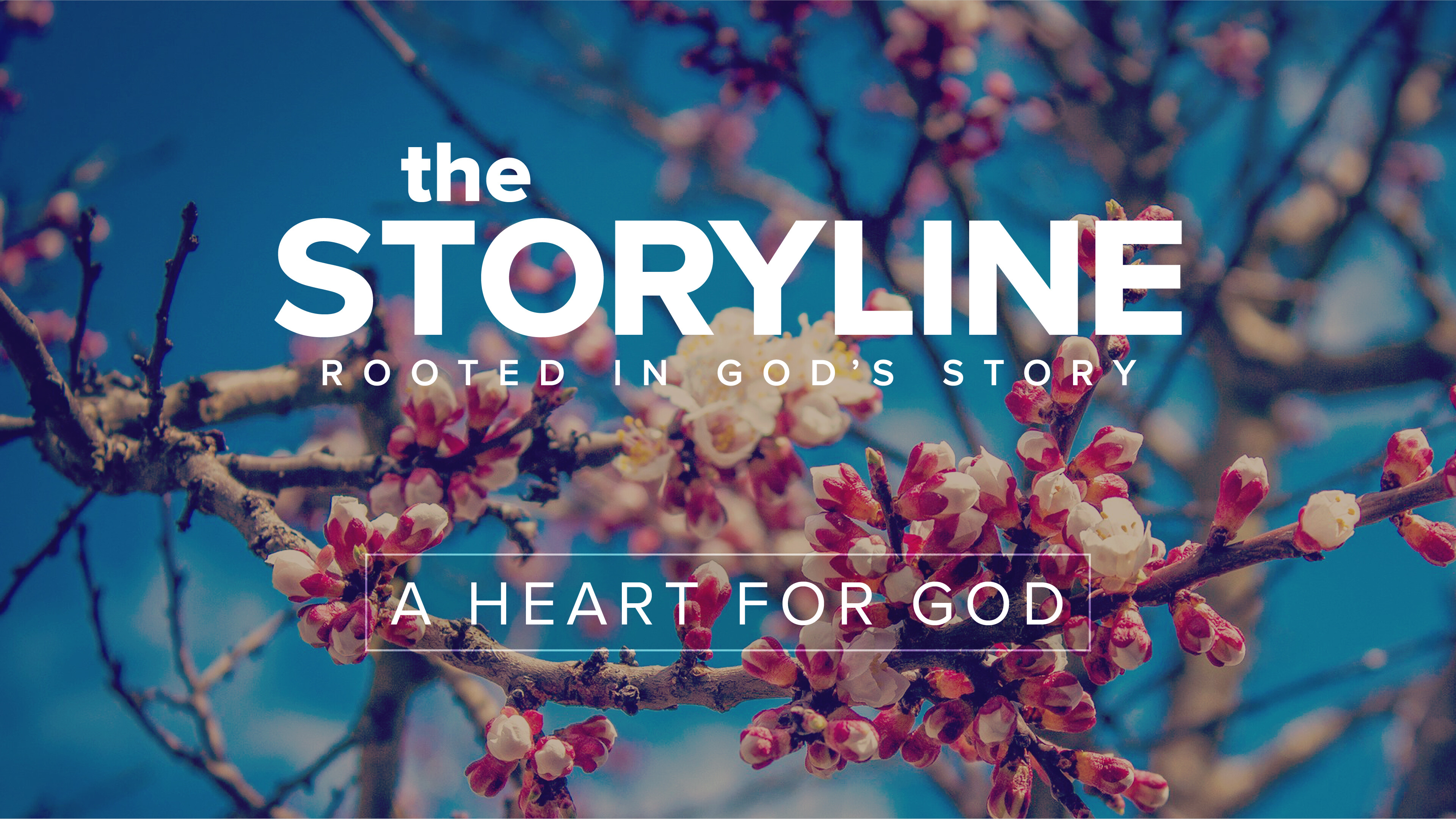 The Storyline | A Flawed Heart Finds Forgiveness (Audio) episode artwork