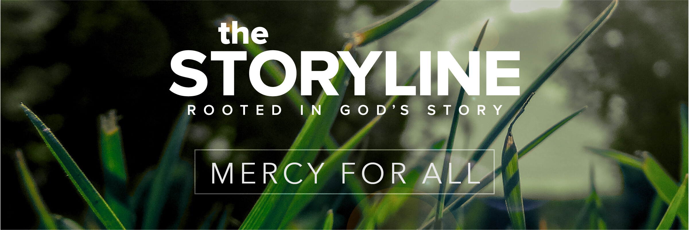 The Storyline | Missing Mercy (Audio) episode artwork