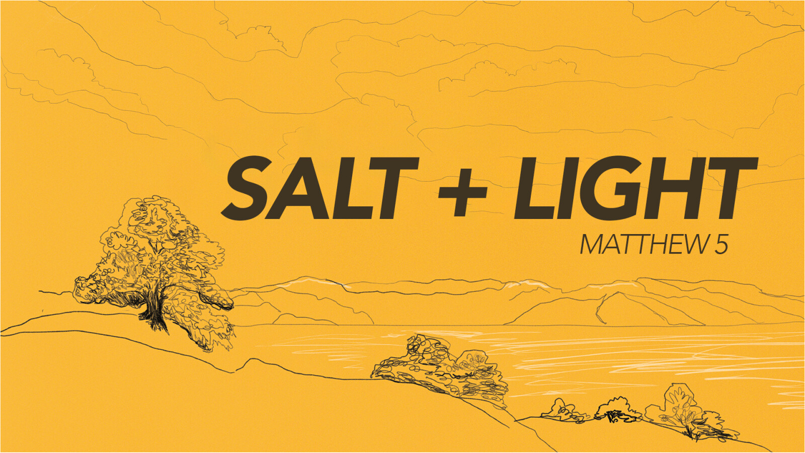Salt + Light