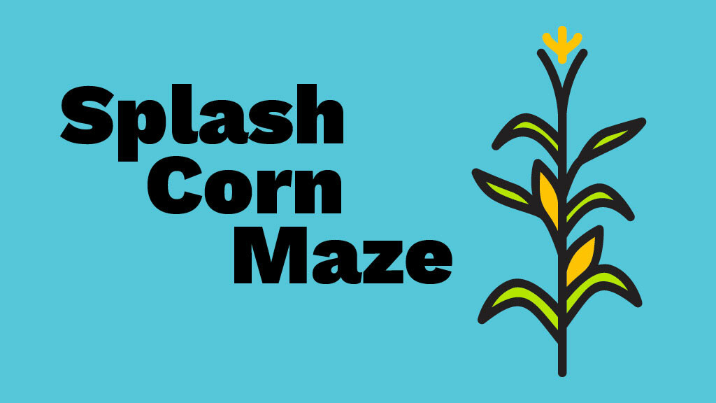 Splash Corn Maze
