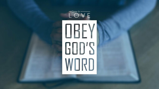 Obey God