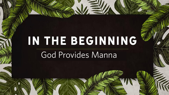 God Provides Manna