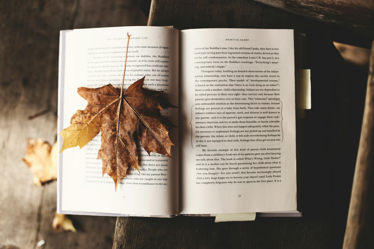 Trauma in the Bible -- Bible Study