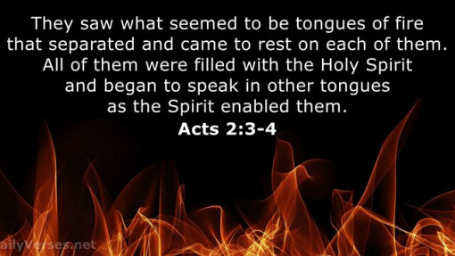Verse of the Day for Pentecost