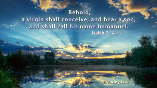 Verse of the Day - December 15