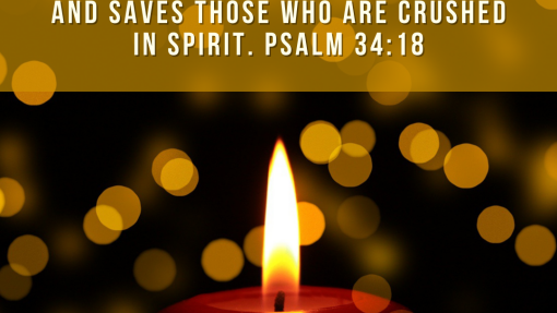 Thank You for the Bridge