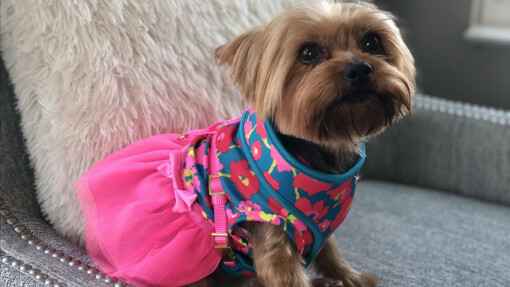 Faith @ First - April 17, 2026