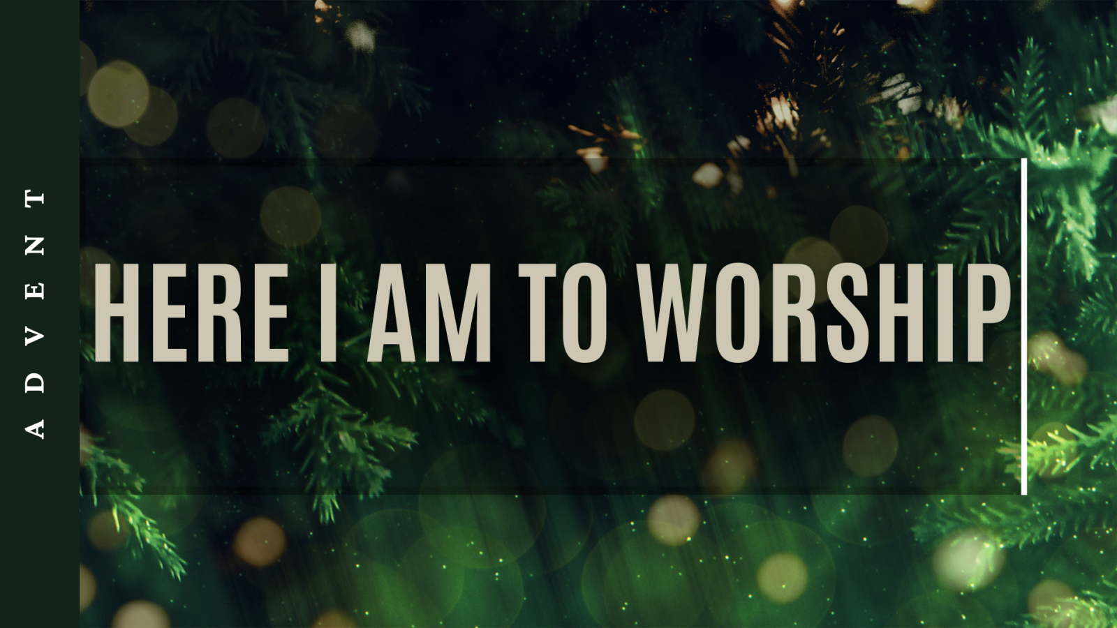Here I Am to Worship