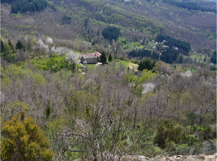 Santa Maria a Ferrano in April