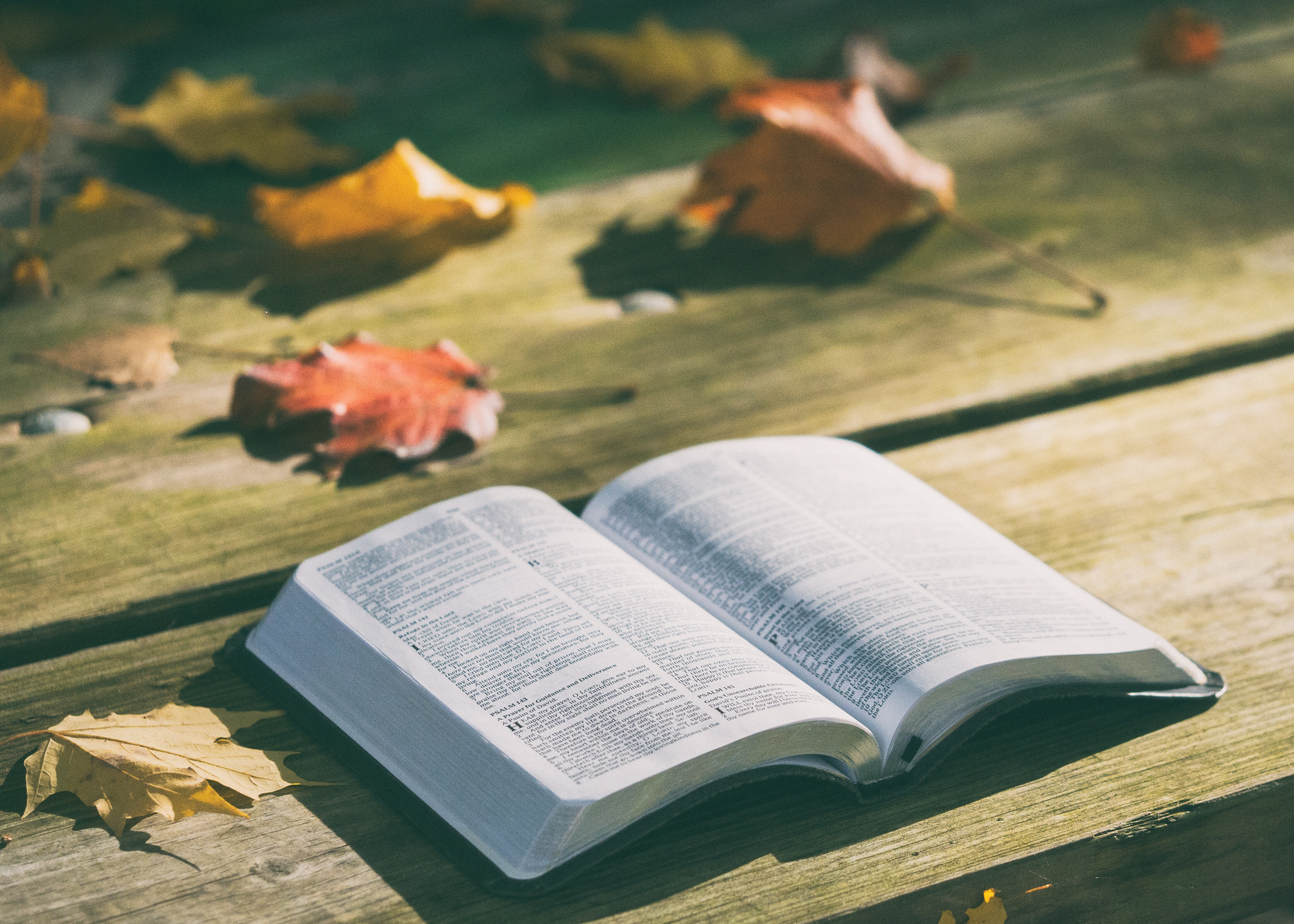 "The Book of Exodus: Introduction"