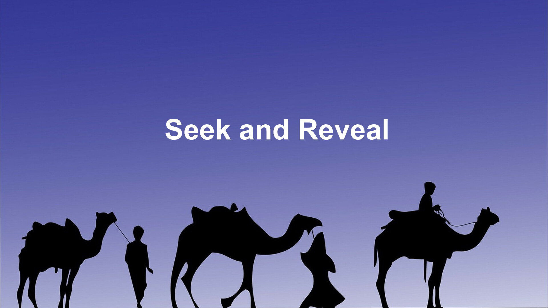 Seek and Reveal