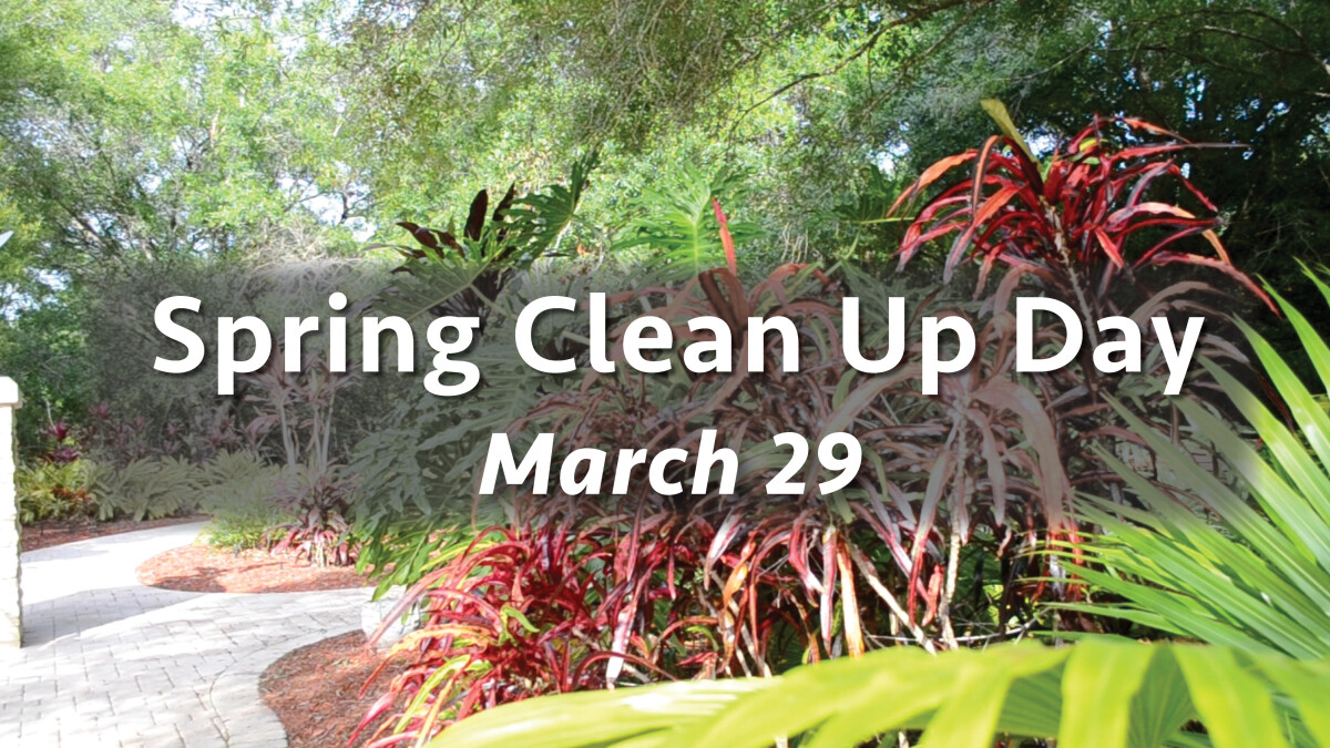 Spring Clean Up 2025