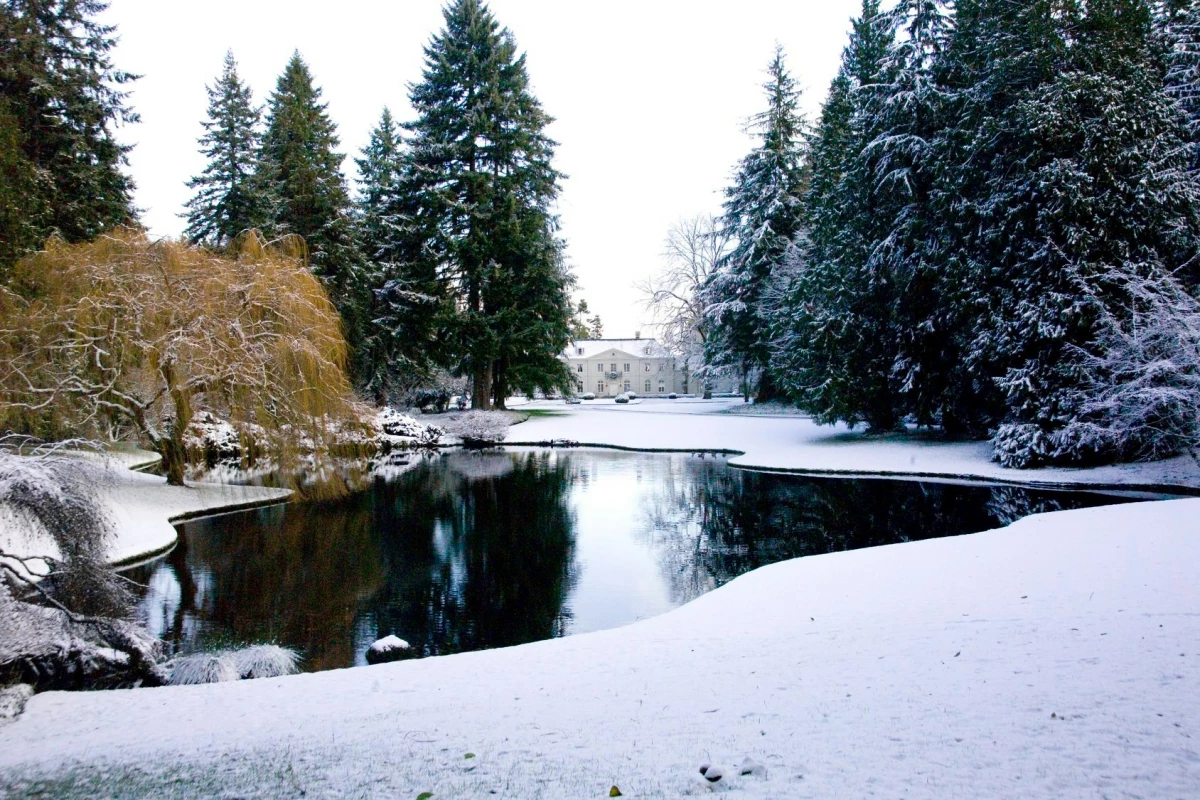 Winter Wonders Walk at Bloedel