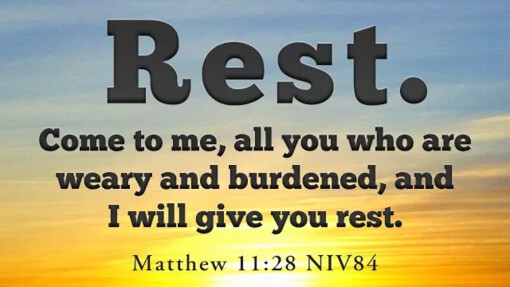 Verse of the Day - February 6