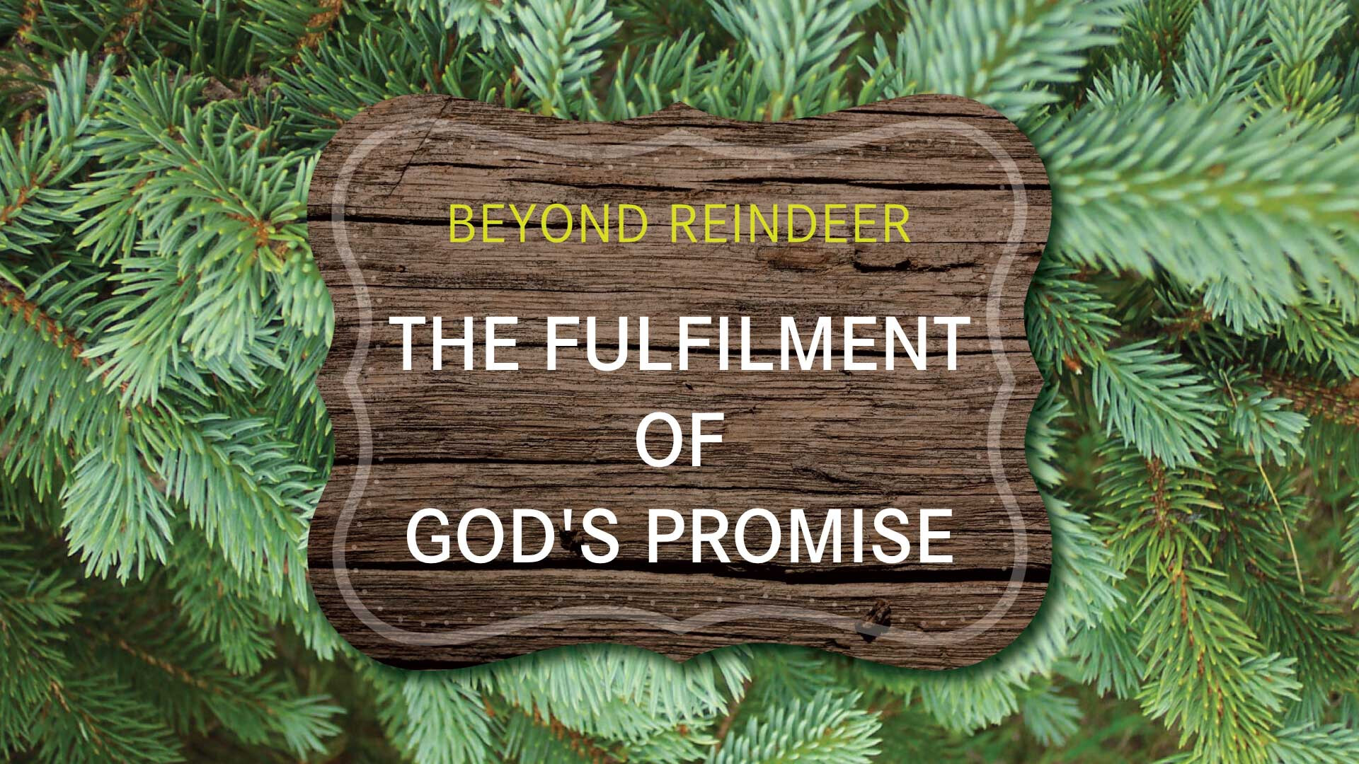 The Fulfilment of God's Promise (Audio) episode artwork