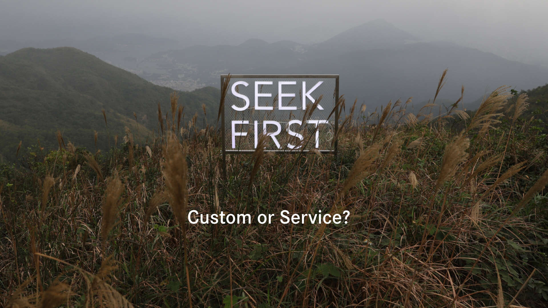 Custom or Service? (Audio) episode artwork