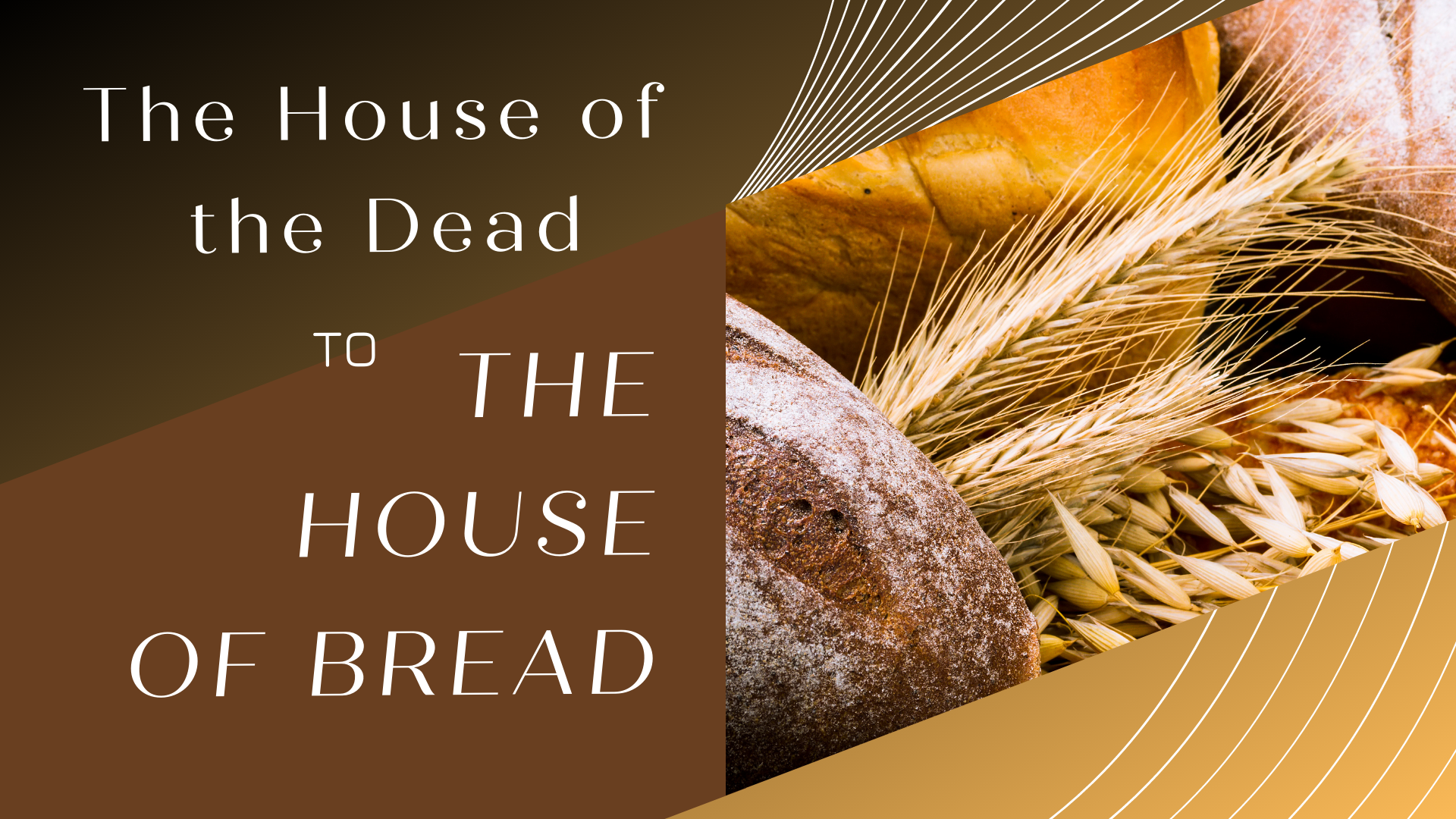 Grace Covenant Church - Chantilly