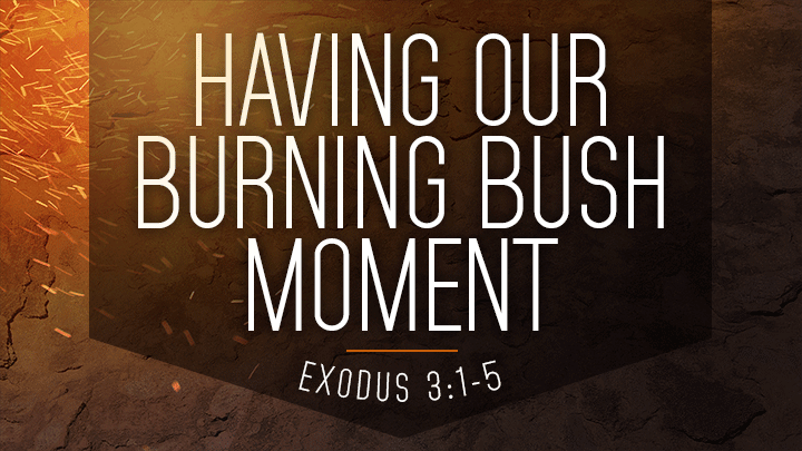 Having Our Burning Bush Moment (Audio) episode artwork