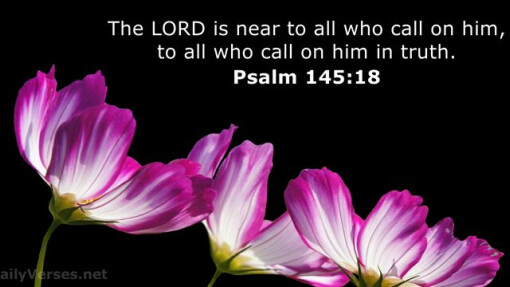 Verse of the Day - May 17