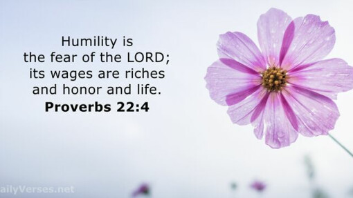 Verse of the Day - May 13