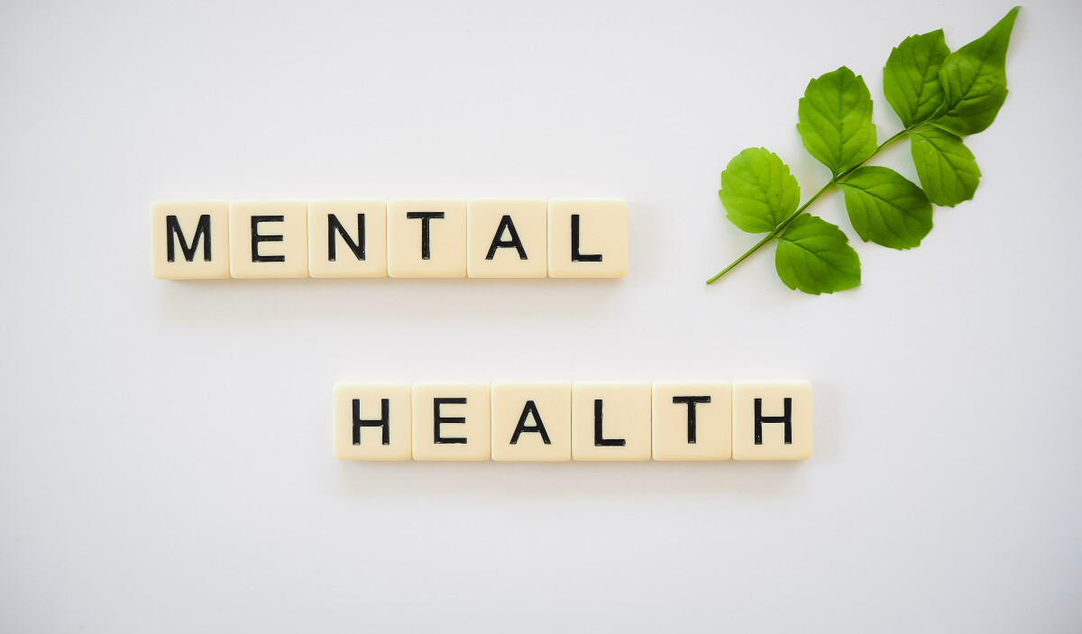 Sanctuary Mental Health Course