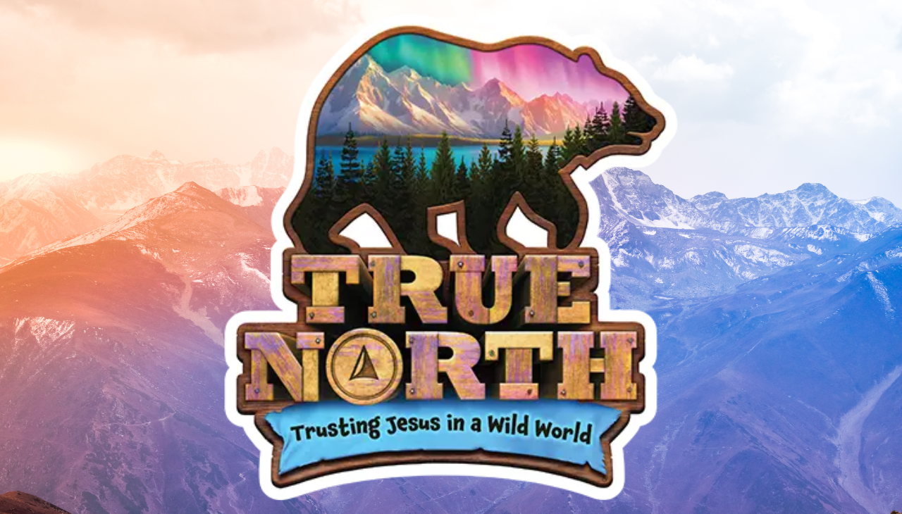VBS: True North