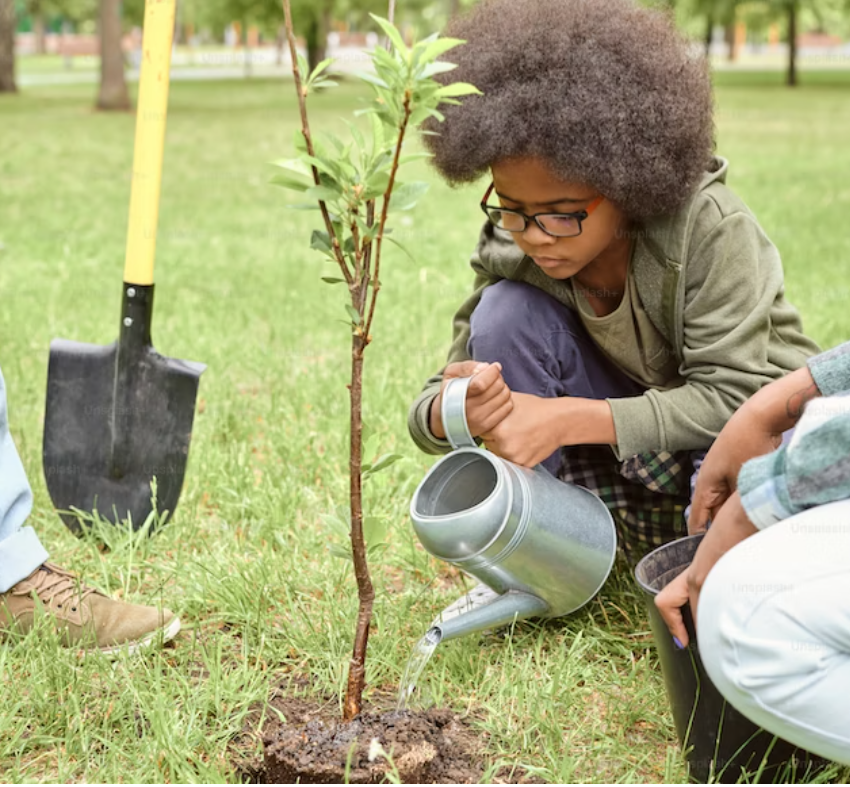 Arbor Day Tree Planting Saturday May 17th at 10 am
