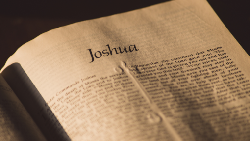 The Consequences of Disobedience – Lessons from Joshua 7