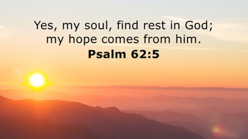 Verse of the Day - August 4