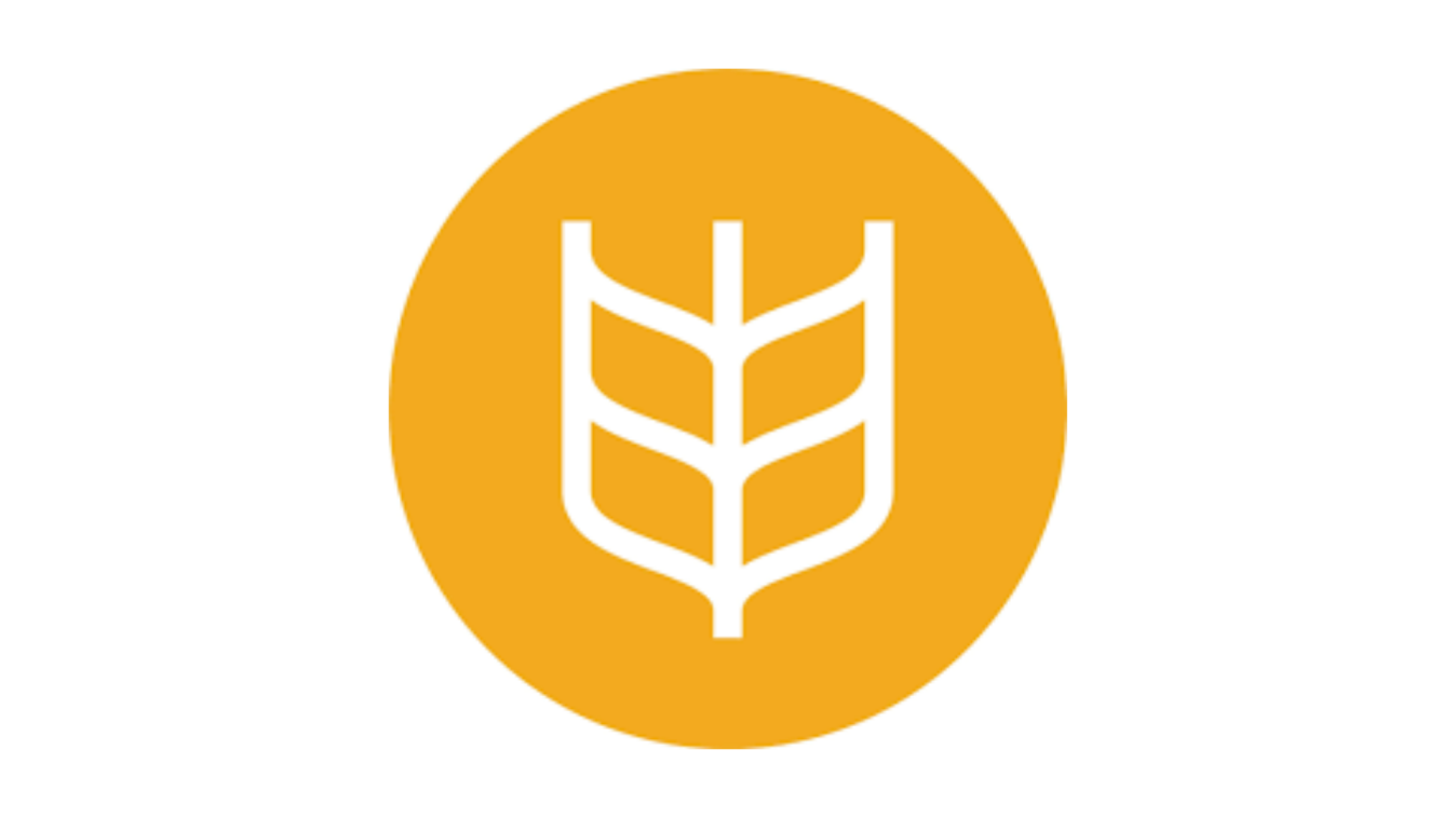 Harvest India Logo. White wheat stock inside of an orange circle