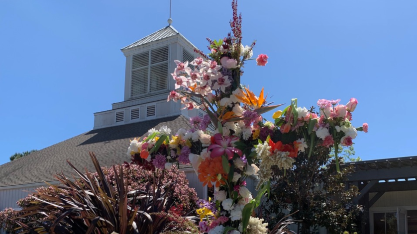 11:00 am Service, Easter Sunday