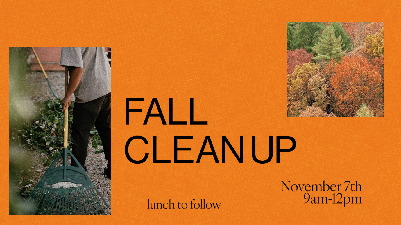 Fall Cleanup