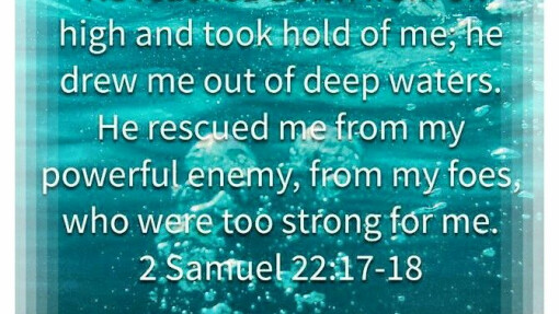 Take Comfort Today