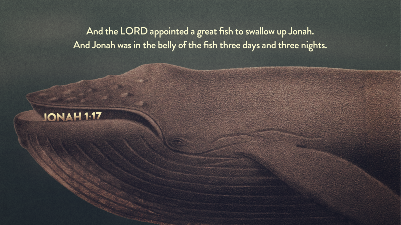 God's Appointments