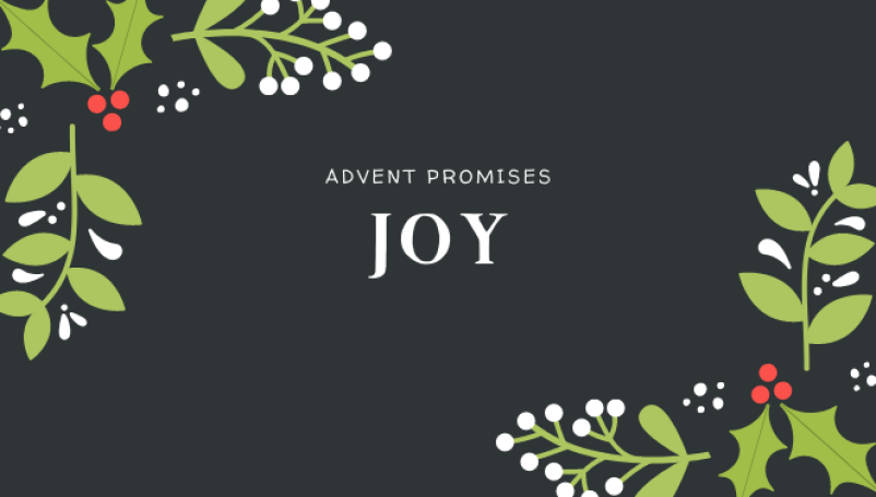 The Promise of Joy